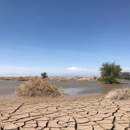 Nuestra pampa